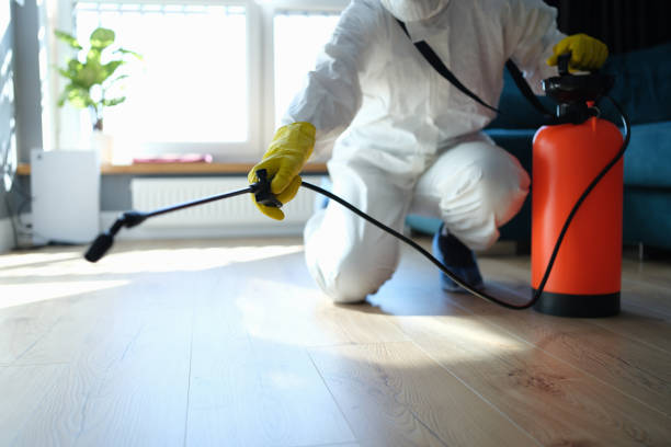 Reliable Biohazard contractor in Hawthorne, CA by Trauma Clean Pros